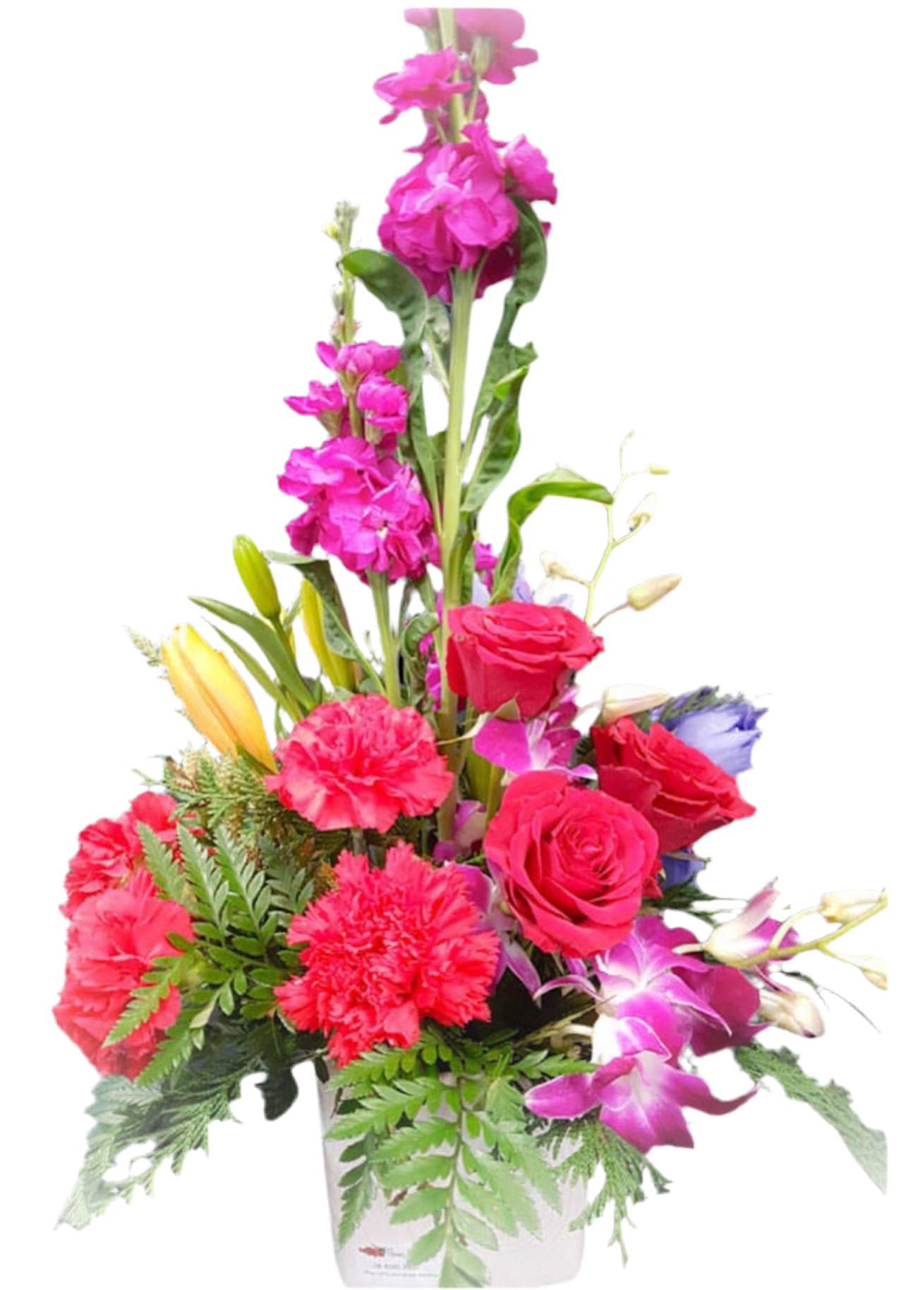 Dolcie Flower Arrangement