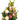 Native and Tropicals Flowers