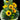 Sunflower Flower Arrangements