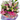 Thank You Flowers