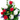 Order Your Christmas Flowers Today