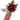 Engagement Flowers