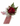 Engagement Flowers